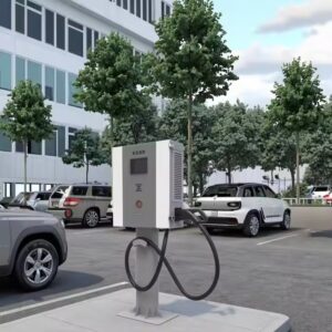 Read more about the article Custom Portable DC EV Charger Manufacturer for Tesla Model X